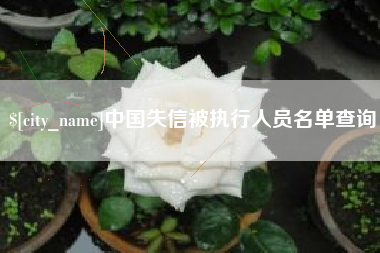 阿里中国失信被执行人员名单查询