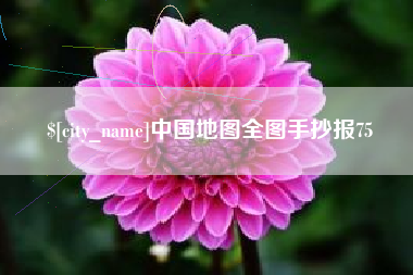 阿里中国地图全图手抄报75