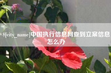 阿里中国执行信息网查到立案信息怎么办