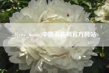 阿里中国消防网官方网站