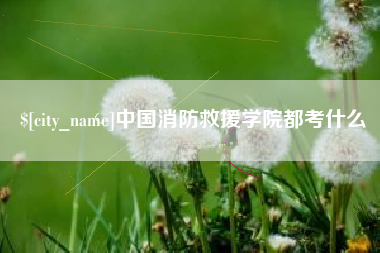 阿里中国消防救援学院都考什么
