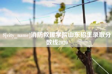 阿里消防救援学院山东招生录取分数线2020
