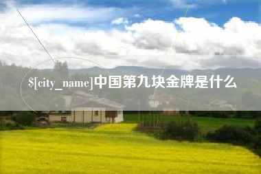阿里中国第九块金牌是什么