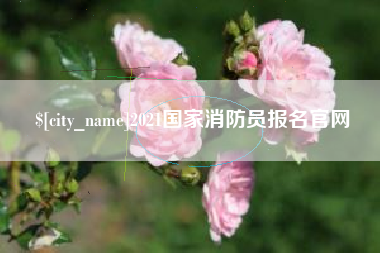 阿里2021国家消防员报名官网