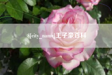 阿里王子豪百科