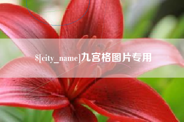 阿里九宫格图片专用