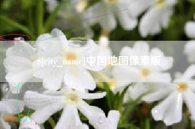 阿里中国地图像素版