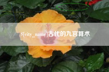 阿里古代的九宫算术
