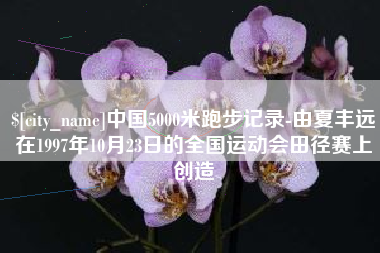 阿里中国5000米跑步记录-由夏丰远在1997年10月23日的全国运动会田径赛上创造