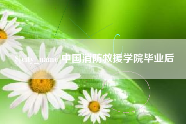 阿里中国消防救援学院毕业后