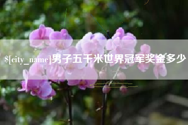 阿里男子五千米世界冠军奖金多少