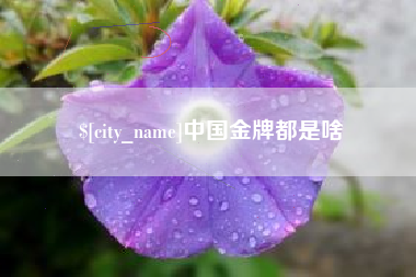 阿里中国金牌都是啥