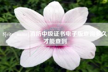 阿里消防中级证书电子版查询多久才能查到