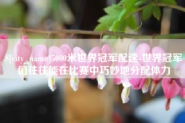 阿里5000米世界冠军配速-世界冠军们往往能在比赛中巧妙地分配体力