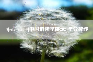 阿里中国消防学院2024年分数线