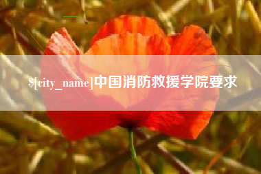 阿里中国消防救援学院要求
