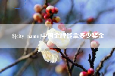 阿里中国金牌能拿多少奖金