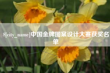 阿里中国金牌图案设计大赛获奖名单