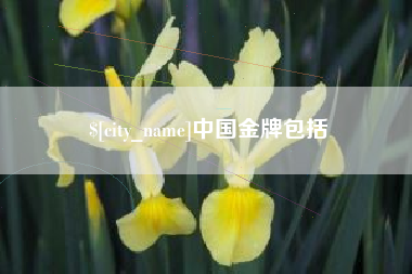 阿里中国金牌包括