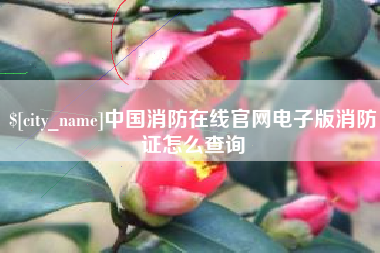 阿里中国消防在线官网电子版消防证怎么查询