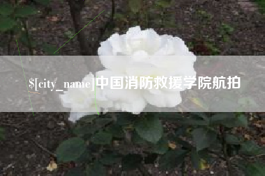 阿里中国消防救援学院航拍