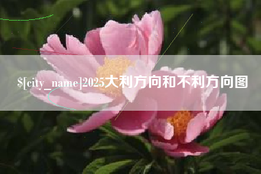 阿里2025大利方向和不利方向图