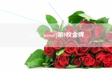 阿里第9枚金牌