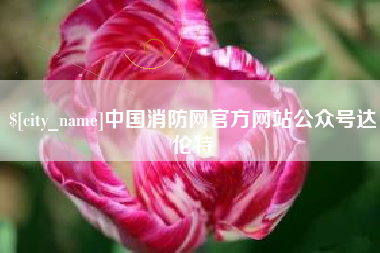 阿里中国消防网官方网站公众号达伦特