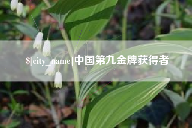 阿里中国第九金牌获得者