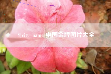 阿里中国金牌图片大全