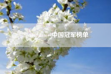 阿里中国冠军榜单
