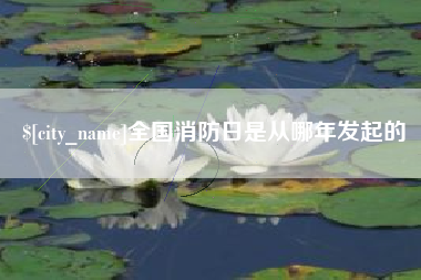 阿里全国消防日是从哪年发起的