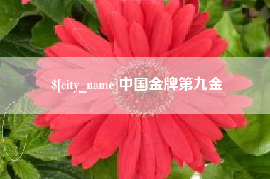 阿里中国金牌第九金