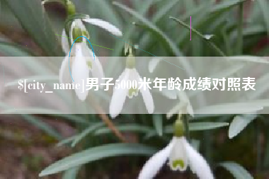阿里男子5000米年龄成绩对照表