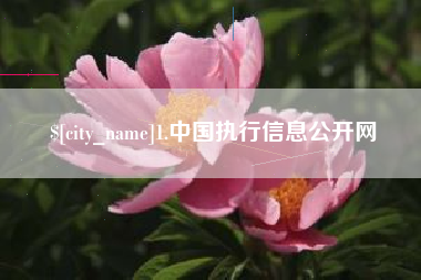 阿里1.中国执行信息公开网