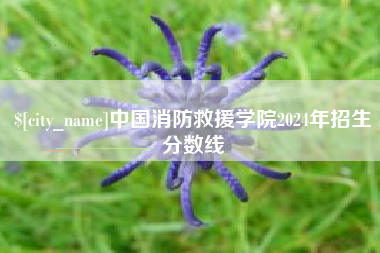 阿里中国消防救援学院2024年招生分数线