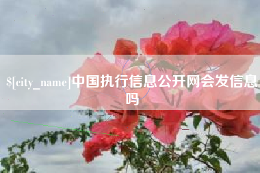 阿里中国执行信息公开网会发信息吗