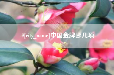 阿里中国金牌哪几项