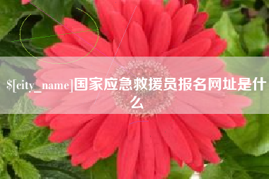 阿里国家应急救援员报名网址是什么