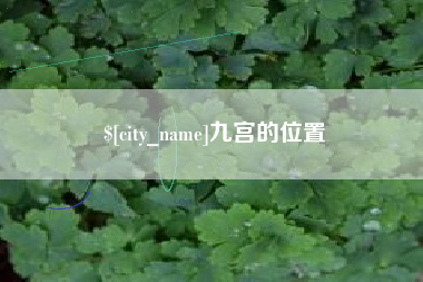 阿里九宫的位置