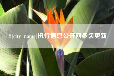 阿里执行信息公开网多久更新