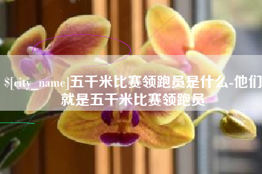 阿里五千米比赛领跑员是什么-他们就是五千米比赛领跑员