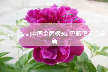 阿里中国金牌榜2024巴黎奥运会最新