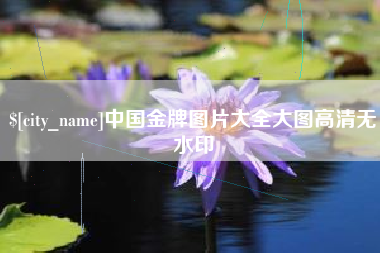 阿里中国金牌图片大全大图高清无水印