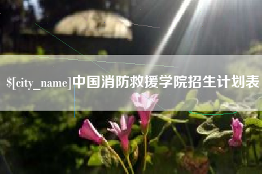 阿里中国消防救援学院招生计划表