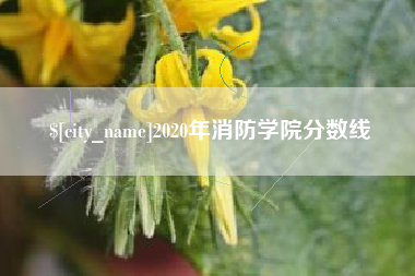 阿里2020年消防学院分数线