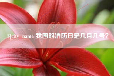 阿里我国的消防日是几月几号？