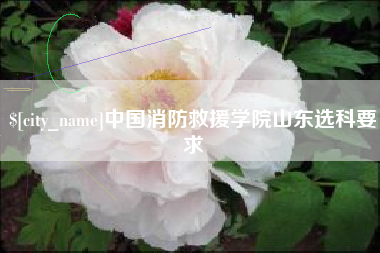阿里中国消防救援学院山东选科要求