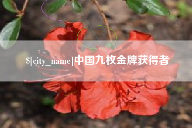 阿里中国九枚金牌获得者