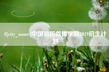 阿里中国消防救援学院2019招生计划